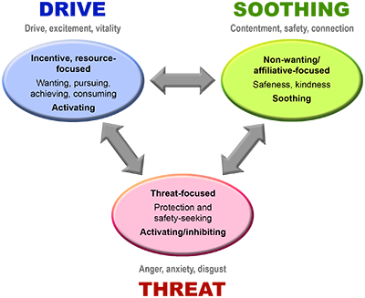 Compassion-Focused Therapy. Compassion Focused Therapy (Пауль Гилберт) метапозиция. The compassion Triangle. Compassion Focused Therapy (Пауль Гилберт) метапозиция упражнение.