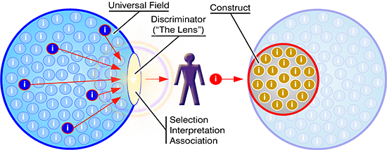 Universal Field and Construct