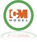 ICM Model